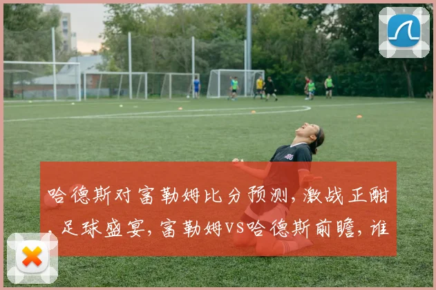 哈德斯对富勒姆比分预测,激战正酣,足球盛宴,富勒姆vs哈德斯前瞻,谁将笑傲江湖
